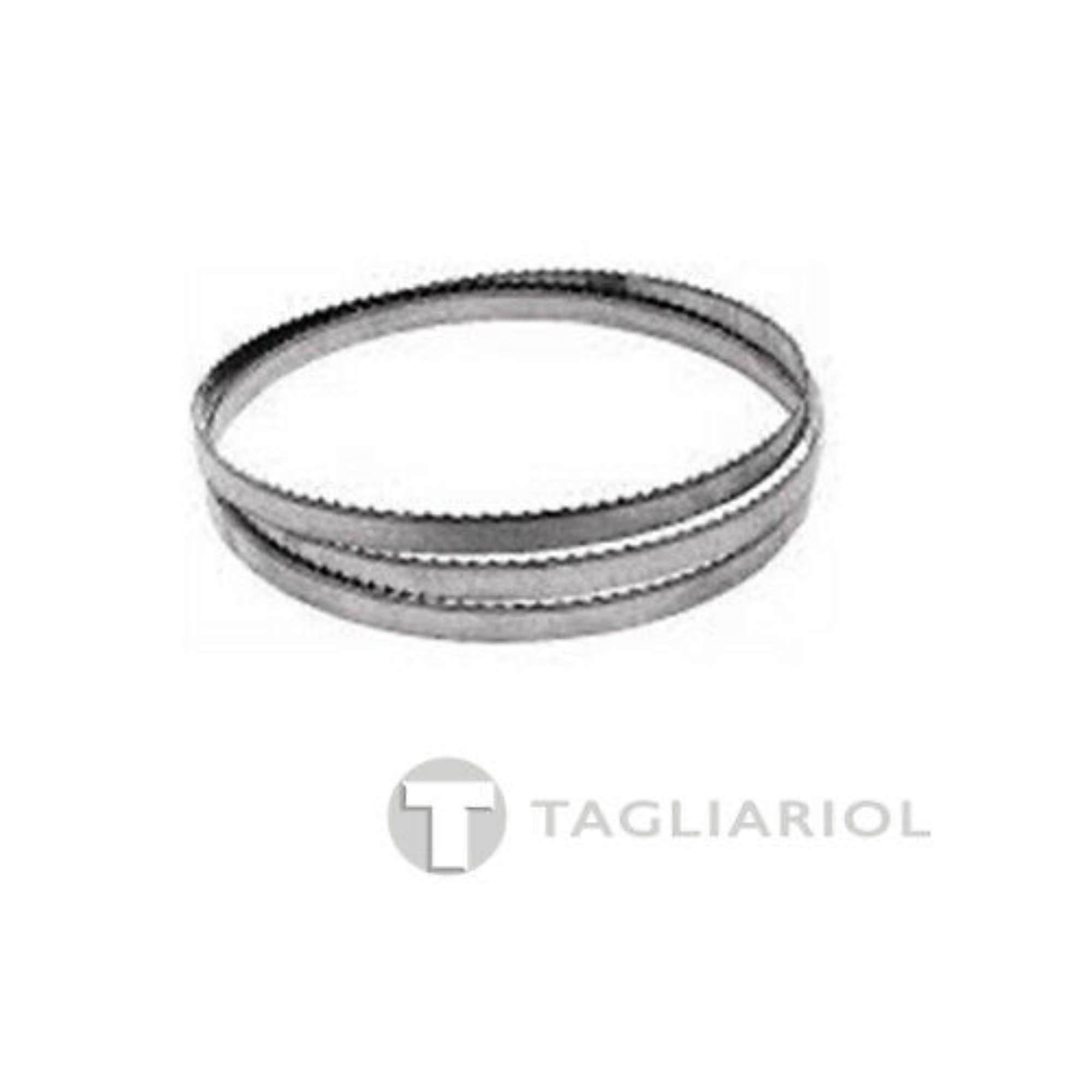 DeWalt DT8480 lama originale per DW738/739 sviluppo 2095x3 passo 4,2mm nuova